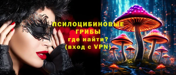 прущий лед Надым