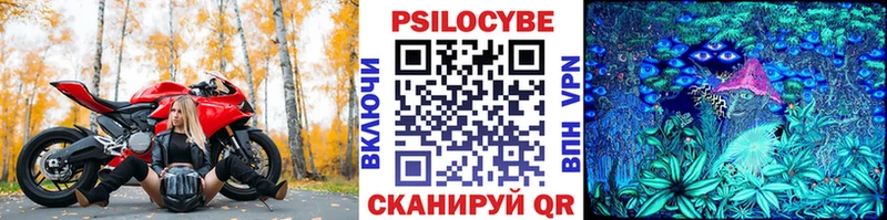 хочу наркоту  Гвардейск  Галлюциногенные грибы GOLDEN TEACHER 